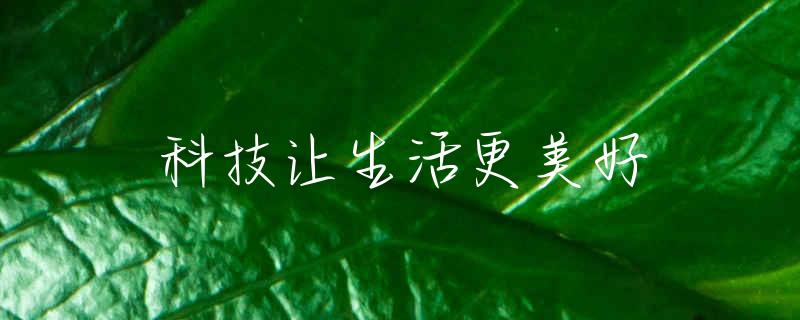 红运竹叶子枯了怎么办